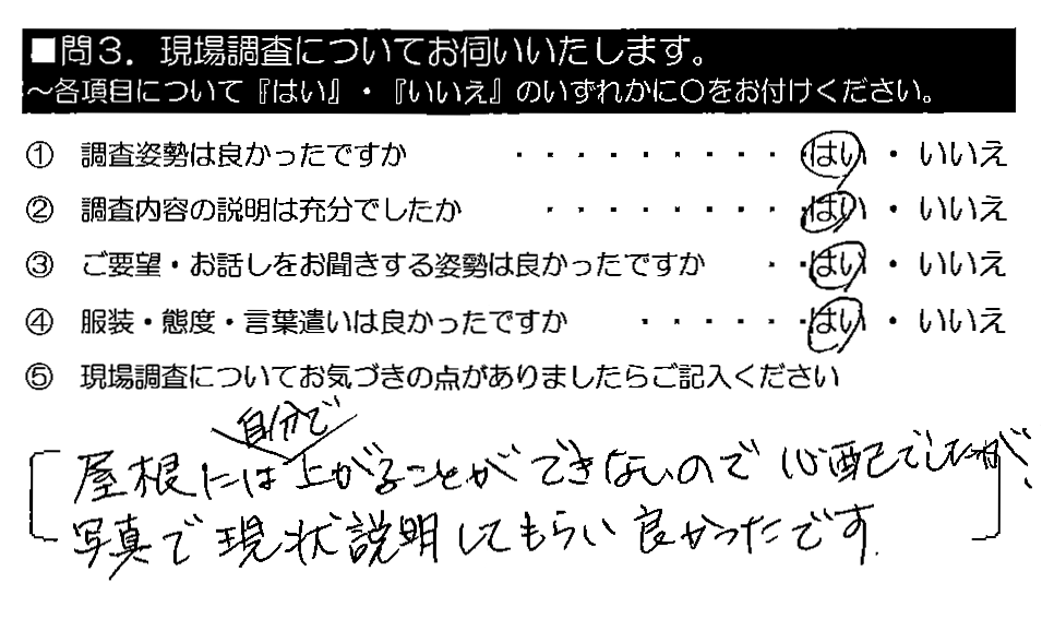 屋根には自分で上がることができないので心配でしたが、写真で現状説明してもらい良かったです。